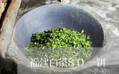 福建白茶80一饼/2023090581847