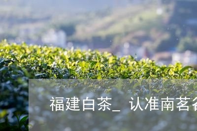 福建白茶_认准南茗谷/2023092035260