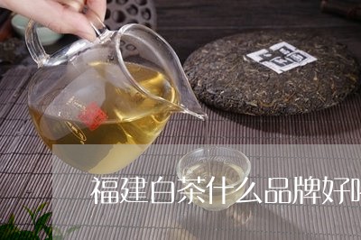 福建白茶什么品牌好喝一点/2023110967149