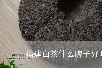 福建白茶什么牌子好喝最正宗/2023062774826