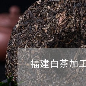 福建白茶加工/2023052256269