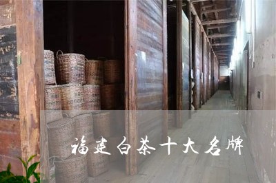 福建白茶十大名牌/2023090541606