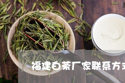 福建白茶厂家联系方式/2023120852792