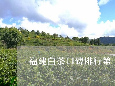 福建白茶口碑排行第一名/2023092273816