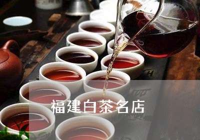 福建白茶名店/2023052285138