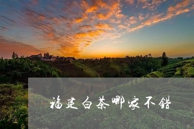 福建白茶哪家不错/2023090547382