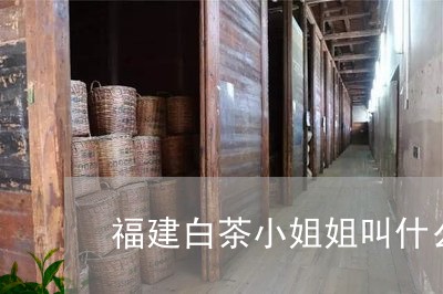 福建白茶小姐姐叫什么名字/2023110869482