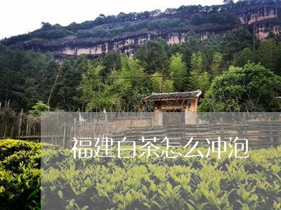 福建白茶怎么冲泡/2023090538279