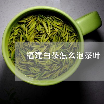 福建白茶怎么泡茶叶/2023120577270