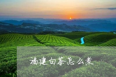 福建白茶怎么煮/2023060813604