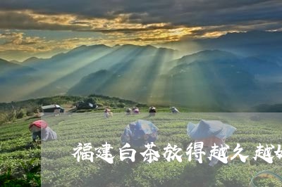 福建白茶放得越久越好吗/2023092219462