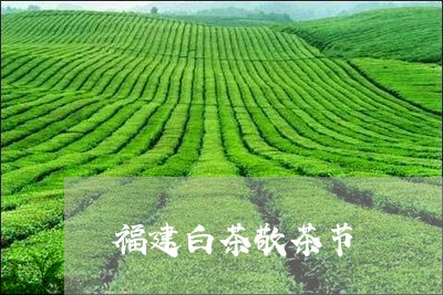 福建白茶敬茶节/2023060826140