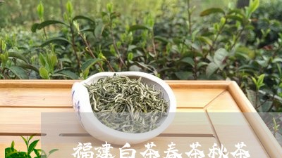 福建白茶春茶秋茶/2023090528482