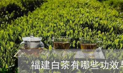 福建白茶有哪些功效与作用及禁忌/2023062835938