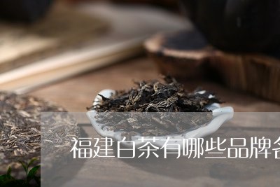 福建白茶有哪些品牌名称/2023110103026