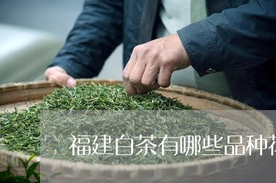 福建白茶有哪些品种花色最好的/2023111467171