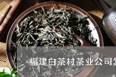 福建白茶村茶业公司怎么样/2023110849380