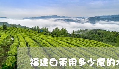 福建白茶用多少度的水最好/2023042674060