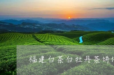 福建白茶白牡丹茶饼价格表/2023082618270