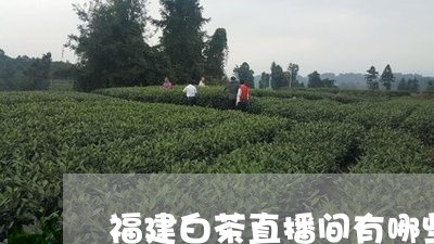 福建白茶直播间有哪些产品/2023110981684