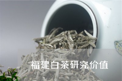 福建白茶研究价值/2023090542036