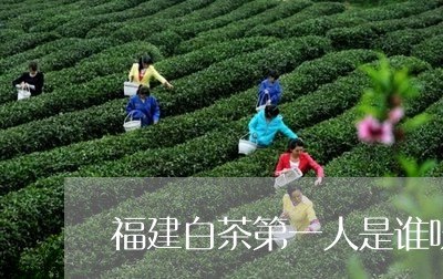 福建白茶第一人是谁呀图片/2023042622752