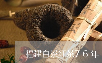 福建白茶红茶76年/2023091326271