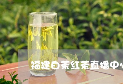 福建白茶红茶直播中心地址/2023042631603