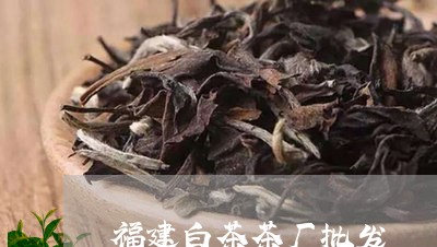 福建白茶茶厂批发/2023090546359