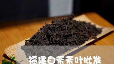 福建白茶茶叶批发/2023090525947