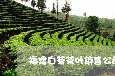 福建白茶茶叶销售公司地址/2023110915835