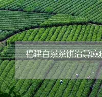 福建白茶茶饼治荨麻疹/2023120926068