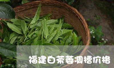 福建白茶萎凋槽价格/2023120508260