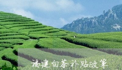 福建白茶补贴政策/2023090510496