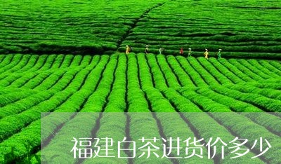 福建白茶进货价多少/2023120540482