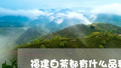 福建白茶都有什么品种/2023092070804