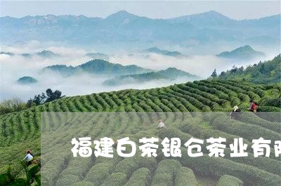 福建白茶银仓茶业有限公司/2023110993036