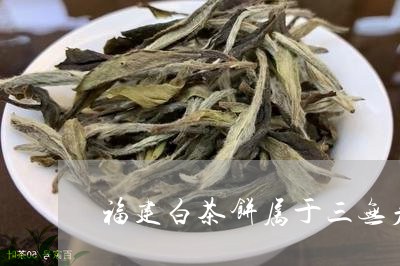 福建白茶饼属于三无产品/2023092291692