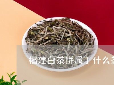 福建白茶饼属于什么茶/2023092015381