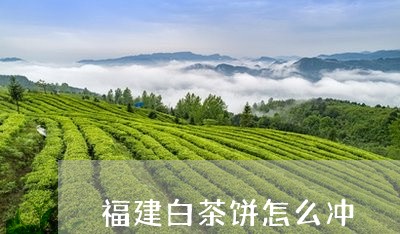 福建白茶饼怎么冲/2023090578471