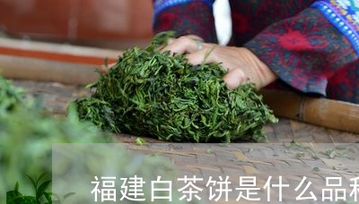 福建白茶饼是什么品种的茶/2023042604148