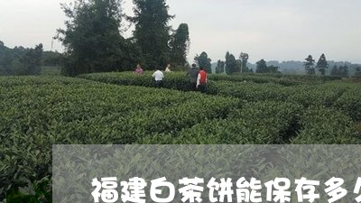 福建白茶饼能保存多久/2023092060504