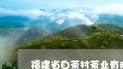 福建省白茶村茶业有限公司/2023110942938