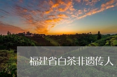 福建省白茶非遗传人/2023091395459