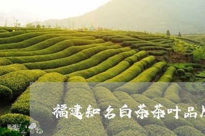 福建知名白茶茶叶品牌代理/2023110936069