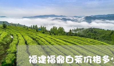 福建福鼎白茶价格多少钱/2023092509279