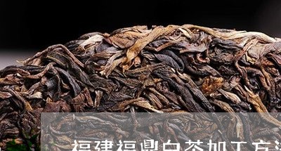 福建福鼎白茶加工方法视频/2023110936158