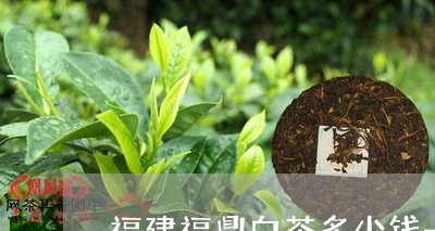 福建福鼎白茶多少钱一斤啊图片/2023111408494