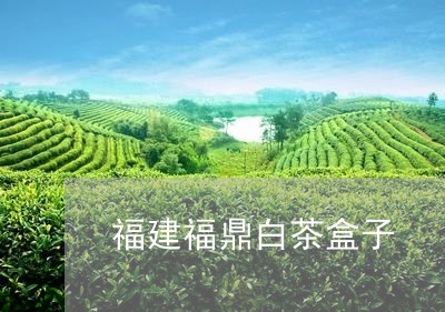 福建福鼎白茶盒子/2023112682815