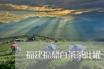 福建福鼎白茶茶叶罐子/2023120646716